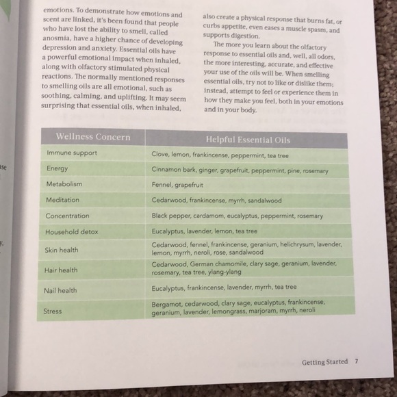 Everyday Healing with Essential Oils: The Ultimate Guide to DIY Aromatherapy - Picture 7 of 16